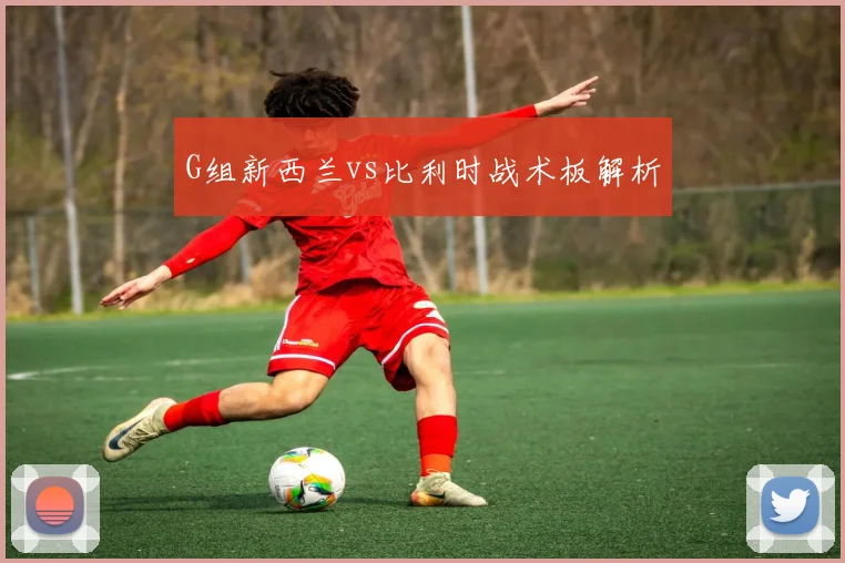 G组新西兰vs比利时战术板解析