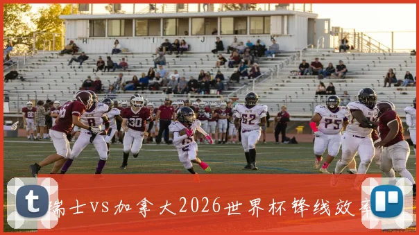瑞士vs加拿大2026世界杯锋线效率