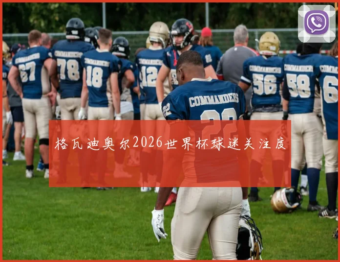 格瓦迪奥尔2026世界杯球迷关注度