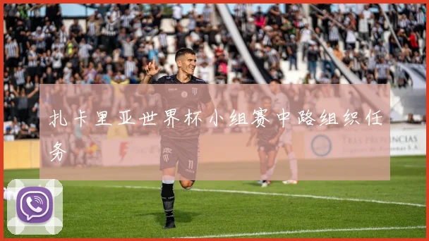 扎卡里亚世界杯小组赛中路组织任务