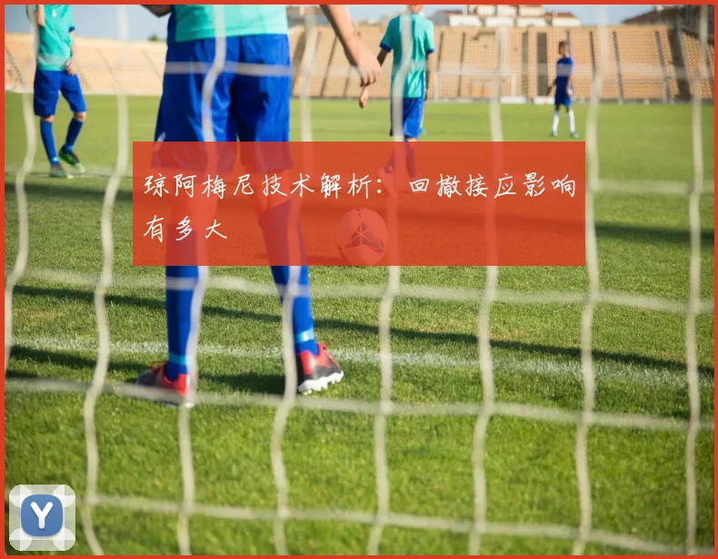 琼阿梅尼技术解析:回撤接应影响有多大